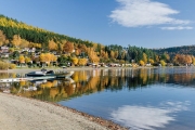 Alterbucht im Herbst