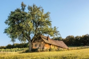 altes Kellerstöckel im Burgenland