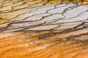 Farbspiel im Yellowstone NP