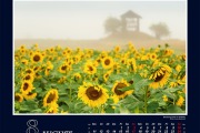 08-Kalender-2025