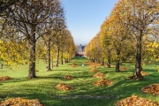 Bergfried im Herbst