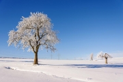 Winterlandschaft bei Dorfilm