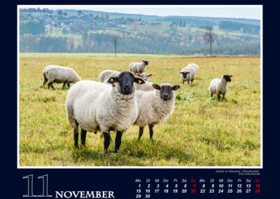 Herbst im Oberland / Altenbeuthen