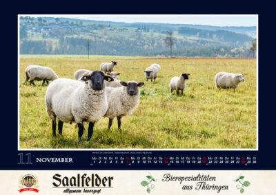 Saale-Kalender 2027 November